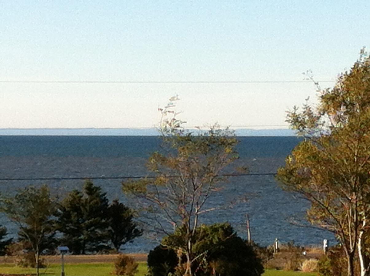 Rocky Shores & Seals Cottages Middleton Rum bild